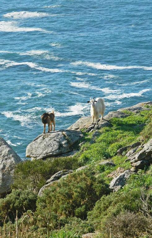 Paseo Del Puerto Finisterre